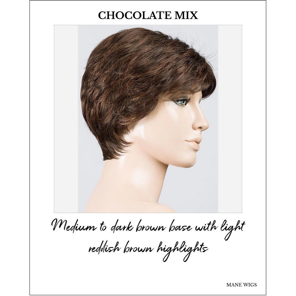 Estate by Ellen Wille in Chocolate Mix-Medium to dark brown base with light reddish brown highlights