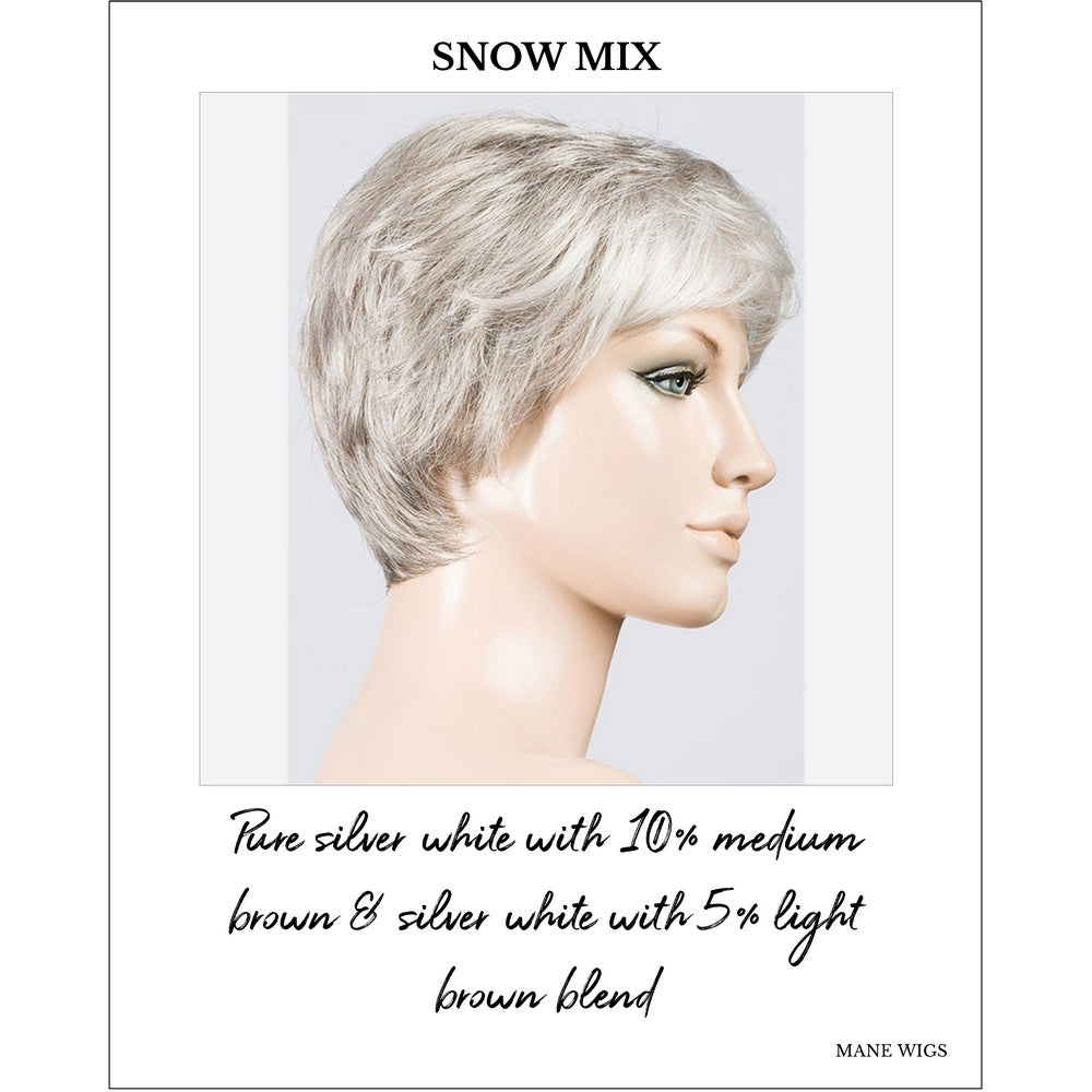 Estate by Ellen Wille in Snow Mix-Pure silver white with 10% medium brown & silver white with 5% light brown blend