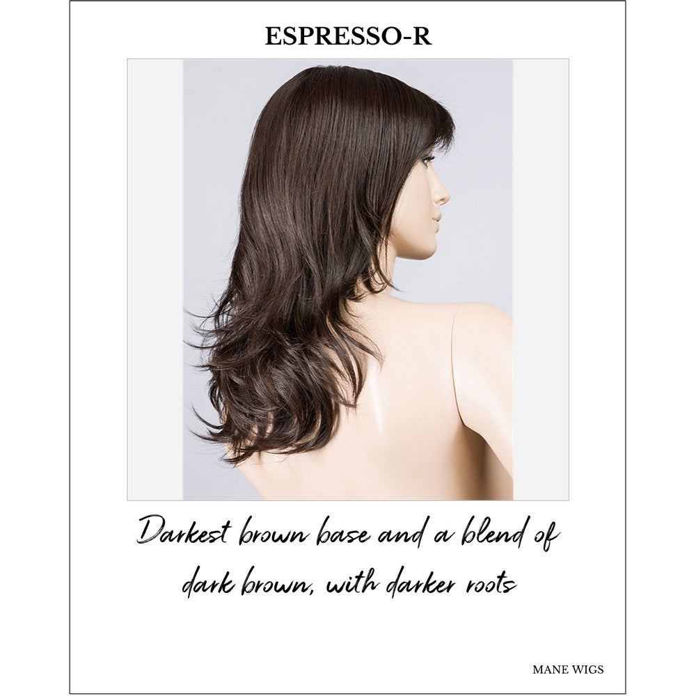 Flash Mono by Ellen Wille in Espresso-R-Darkest brown base and a blend of dark brown, with darker roots