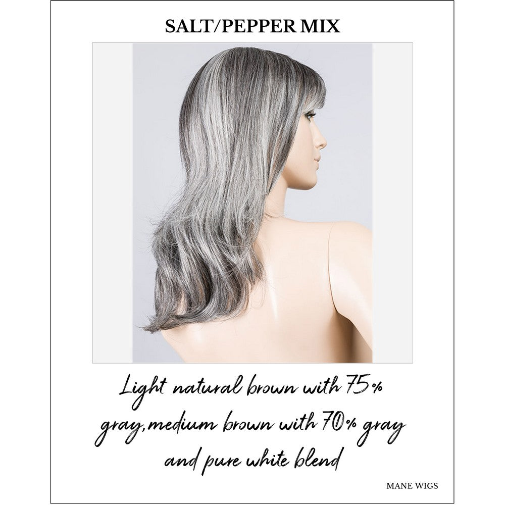 Flash Mono by Ellen Wille in Salt/Pepper Mix-Light natural brown with 75% gray,medium brown with 70% gray and pure white blend