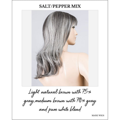 Flash Mono by Ellen Wille in Salt/Pepper Mix-Light natural brown with 75% gray,medium brown with 70% gray and pure white blend