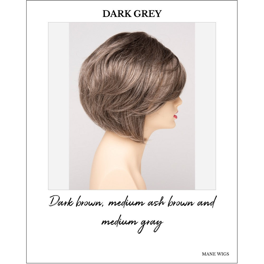 Juliet wig by Envy in Dark Grey-Dark brown, medium ash brown and medium gray