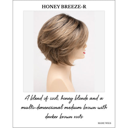 Juliet wig by Envy in Honey Breeze-R-A blend of cool, honey blonde and a multi-dimensional medium brown with darker brown roots