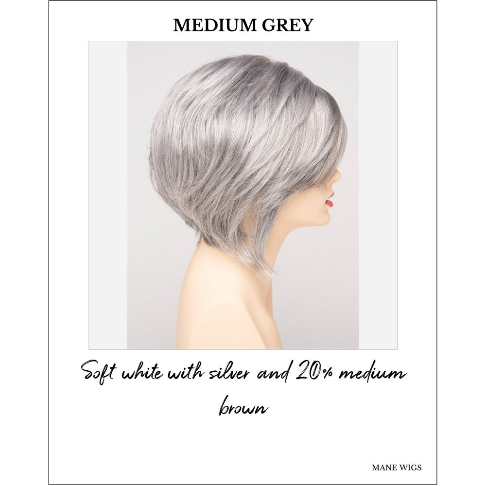 Juliet wig by Envy in Medium Grey-Soft white with silver and 20% medium brown