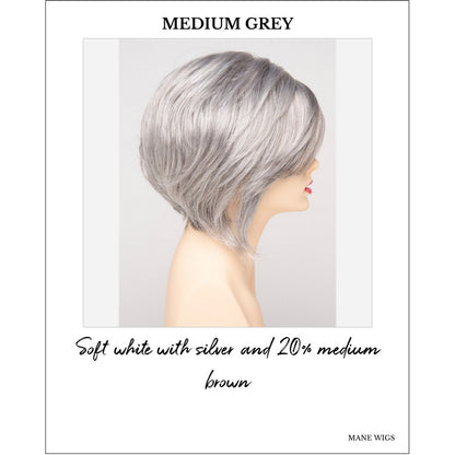 Juliet wig by Envy in Medium Grey-Soft white with silver and 20% medium brown