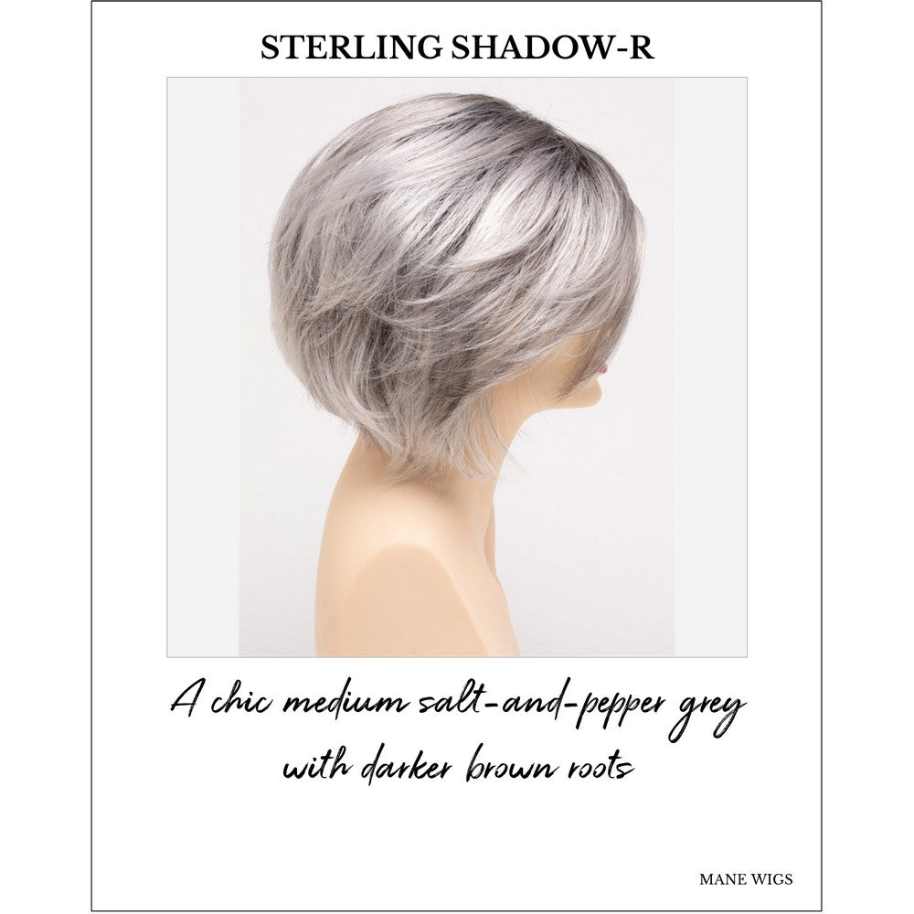 Juliet wig by Envy in Sterling Shadow-R-A chic medium salt-and-pepper grey with darker brown roots