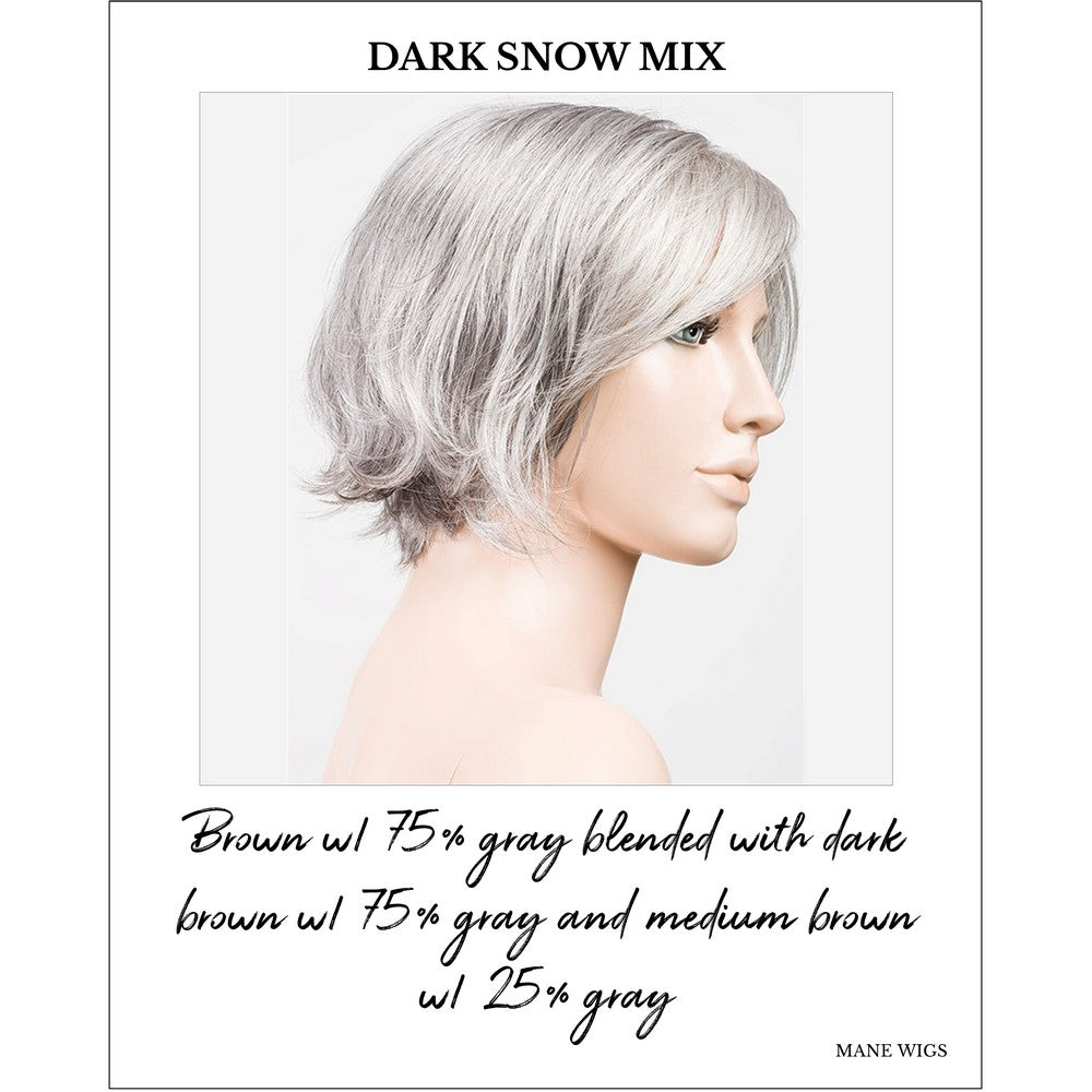 Like Mono Part by Ellen Wille in Dark Snow Mix-Brown w/ 75% gray blended with dark brown w/ 75% gray and medium brown w/ 25% gray