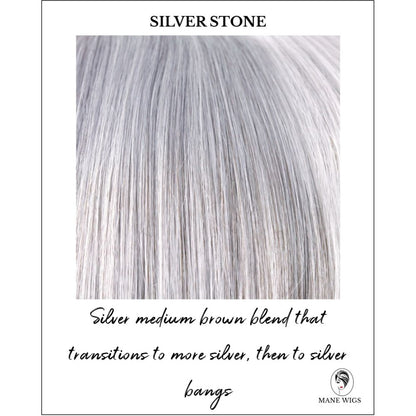 Silver Stone-Silver medium brown blend that transitions to more silver, then to silver bangs